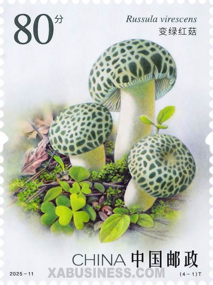 Russula Virescens