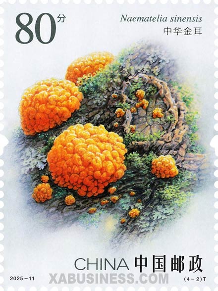 Naematelia Sinensis