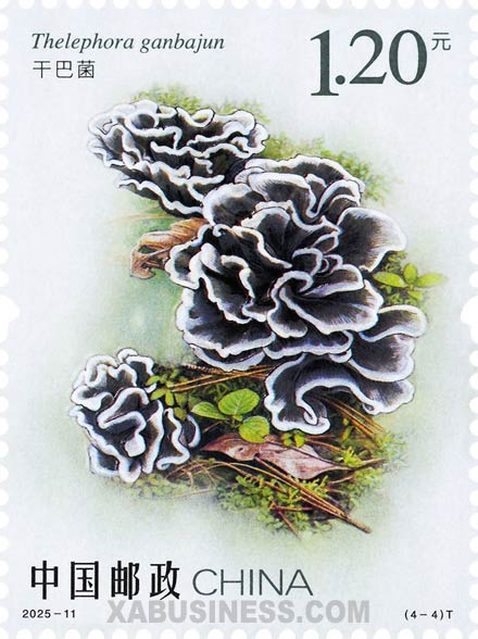 Thelephora Ganbajun