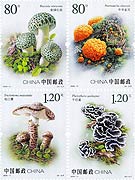 Edible Fungi (2)