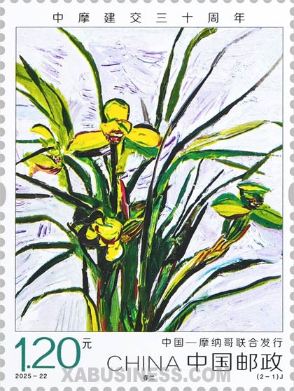 Cymbidium