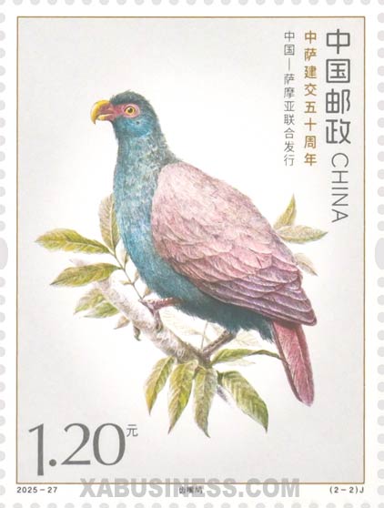 Didunculus strigirostris