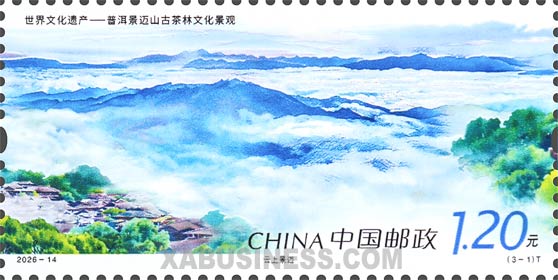 Jingmai Above the Clouds
