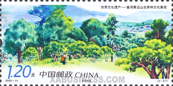 Coexistence of Tea and Forest
